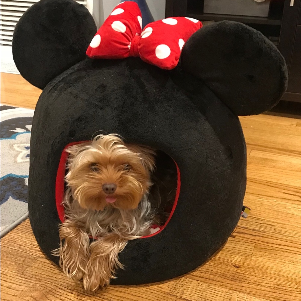 Minnie Mouse dog/cat bed